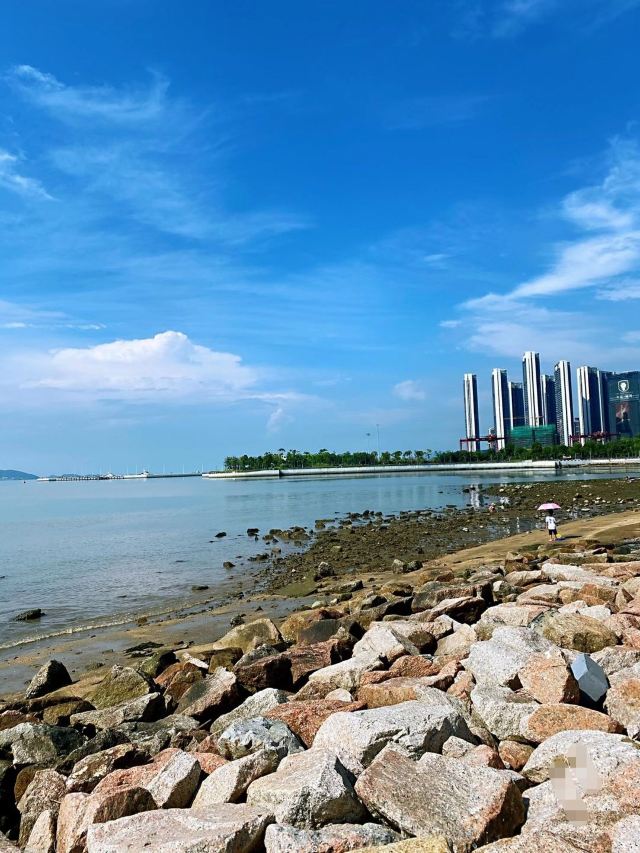 深圳湾口岸深圳蛇口口岸接送服务